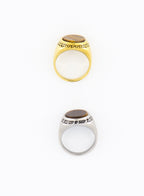 Brown Stone Signet Ring • Surgical Steel
