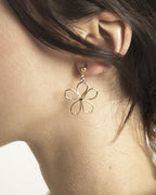 Daisy Drop