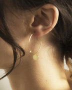 Disc Hoops