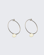 Disc Hoops