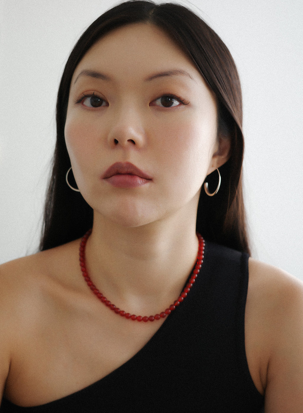 Circular Hook Earring