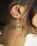 Shell Hoops