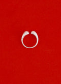 Matte Snake Coil Ring